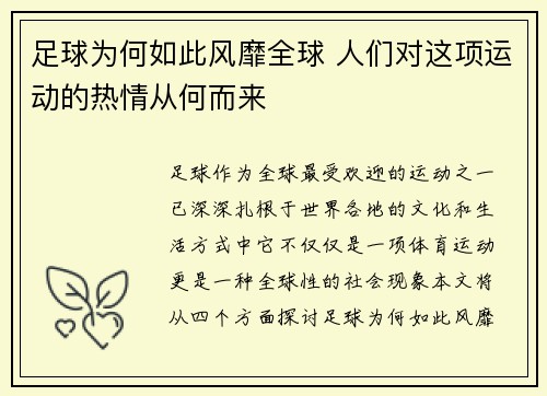 足球为何如此风靡全球 人们对这项运动的热情从何而来
